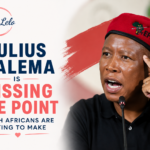 Julius Malema Is Missing the Point South Africans Are Trying to Make